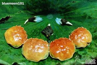 红生的照片,光影中的时代印记